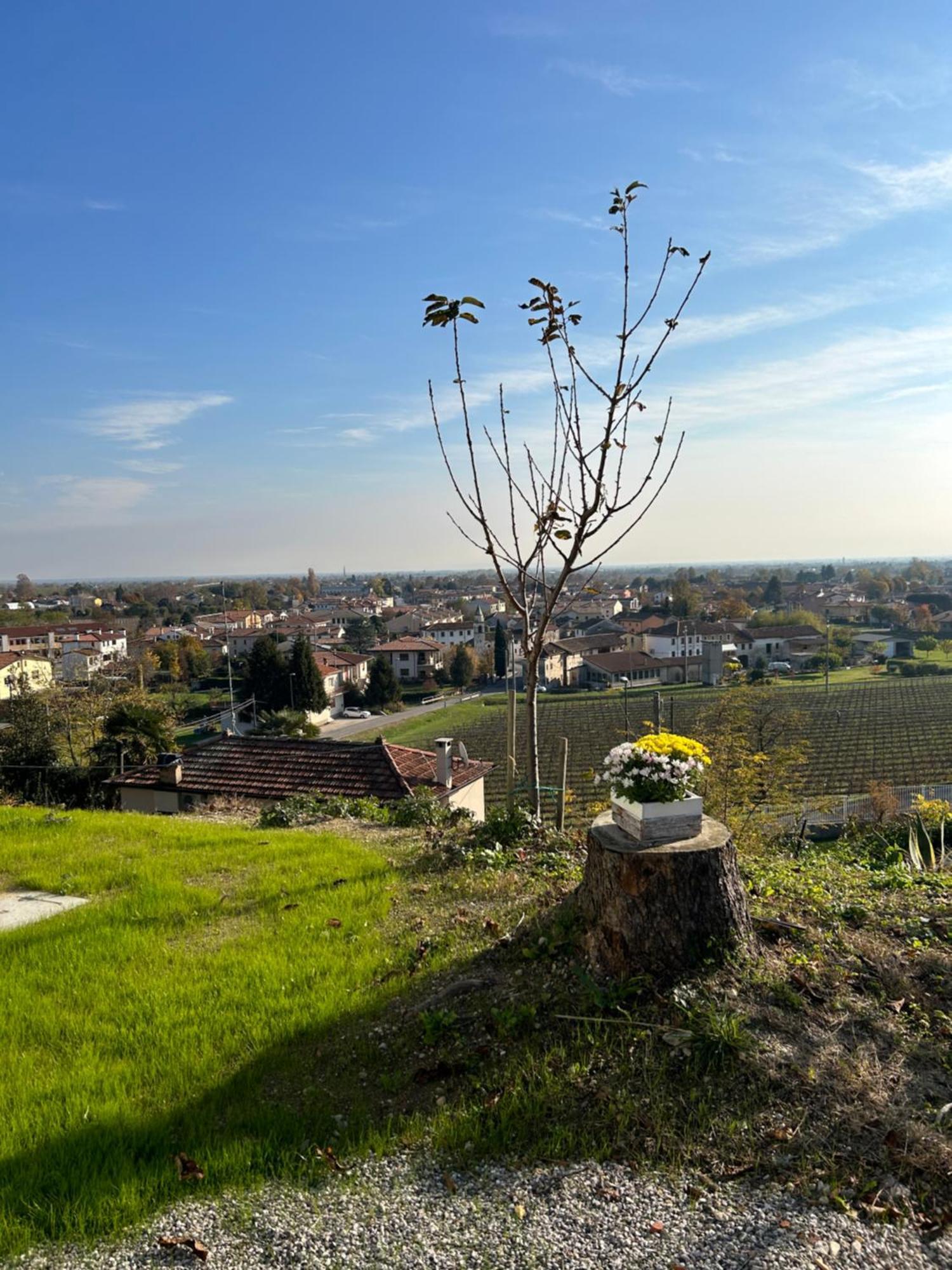 B&B San Martino San Martino (Treviso) Exterior foto